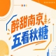 南京秋糖，五看醉甜